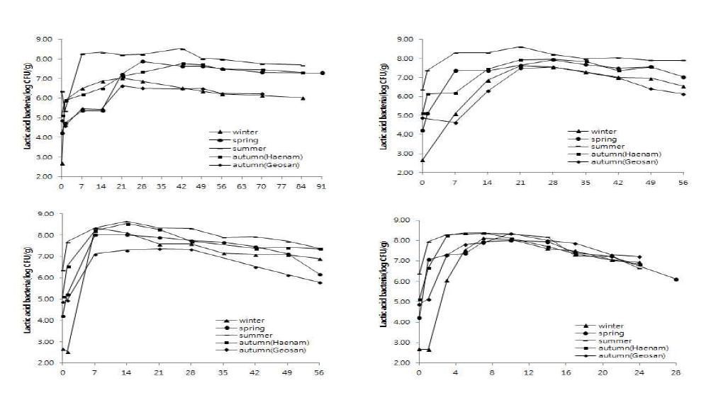 Comparison of lactic acid bacteria(log CFU/g) salted Kimchi cabbage during storage period