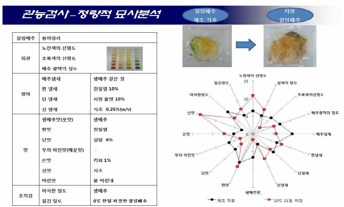 Quantitative descriptive analysis of salted-Kimchi cabbage