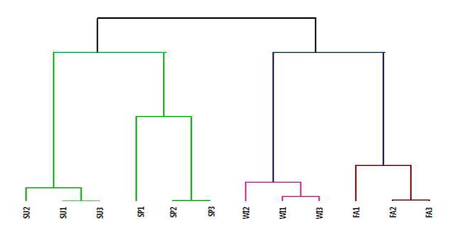 Dendrogram of seasonal salted-Kimchi cabbage by agglomerative hierarchical clustering (AHC) based on quality characteristics of salted-Kimchi cabbage