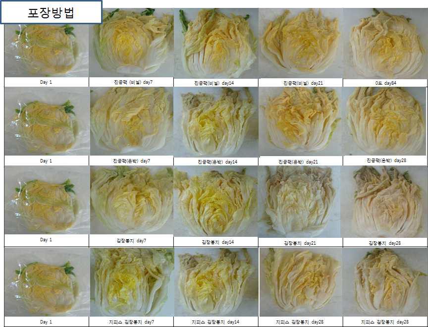 Salted Kimchi cabbage appearance according to packaging methods and storage periods　