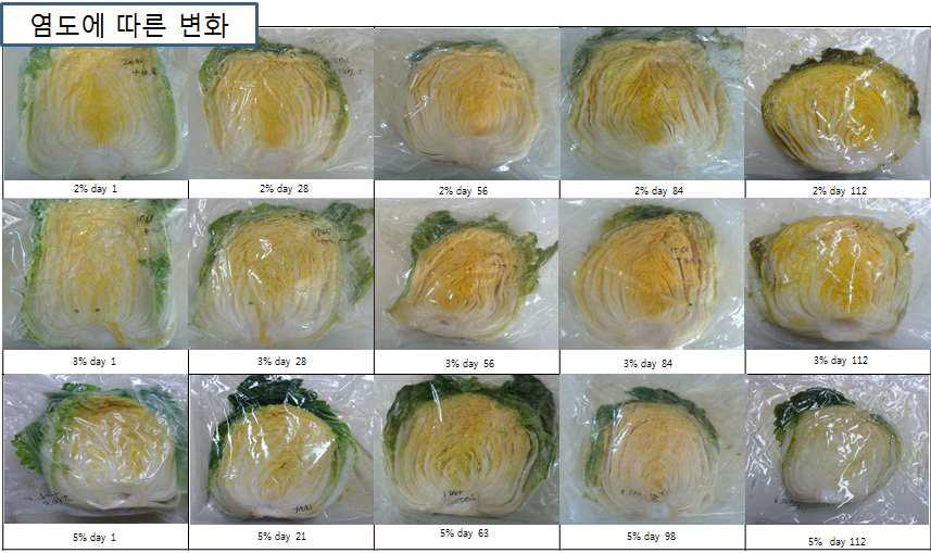 Effect of salt concentration in salted Kimchi cabbage