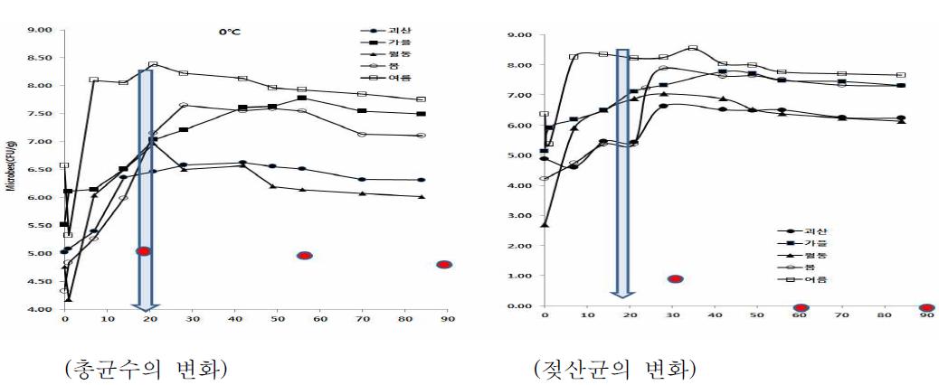 현장형 절임배추의 저장 중 미생물 변화