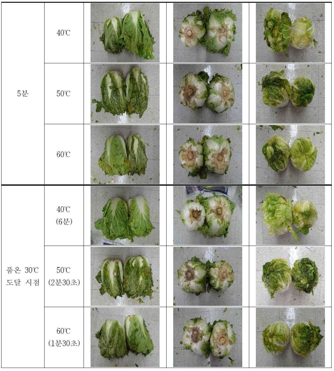 순간건식열처리 조건별 처리된 배추의 저장 5일 후 성상변화 (20℃)
