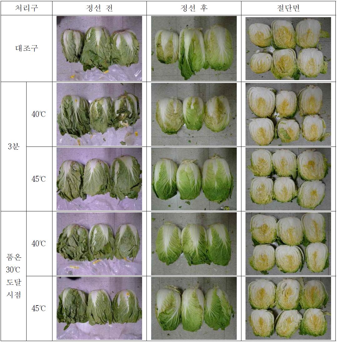 순간건식열처리 조건별 처리된 배추의 5일 MA저장 후 성상변화 (20℃)