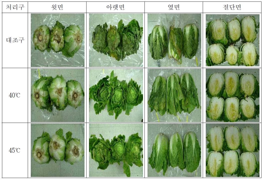 순간건식 열처리조건별 처리된 배추의 저장 5일 후 성상변화 (20℃)