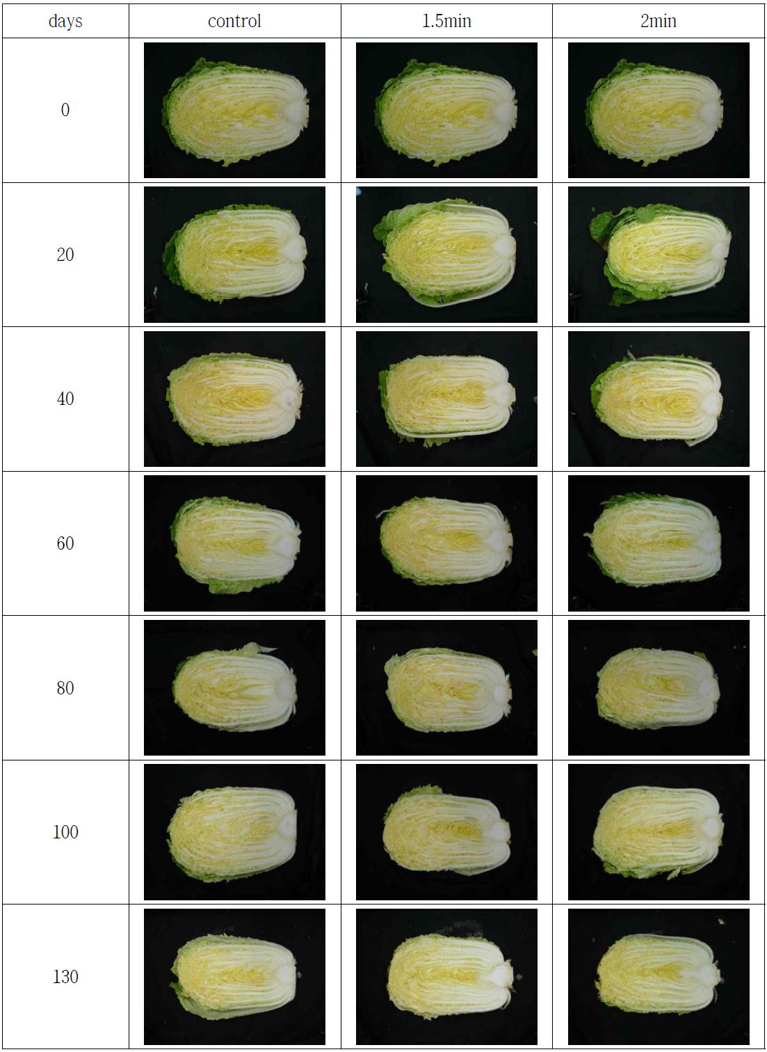 순간건식열처리에 의한 월동배추의 저장 중 정선 후 절단면 변화(0℃)