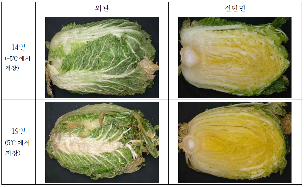 -5℃ 빙결점 근접 저장 및 5℃ 저온해동 후 배추의 성상변화 1