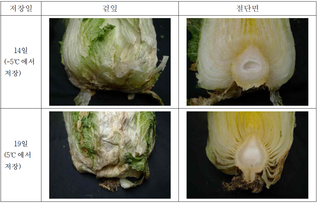 -5℃ 빙결점 근접 저장 및 5℃ 저온해동 후 배추의 성상변화 2