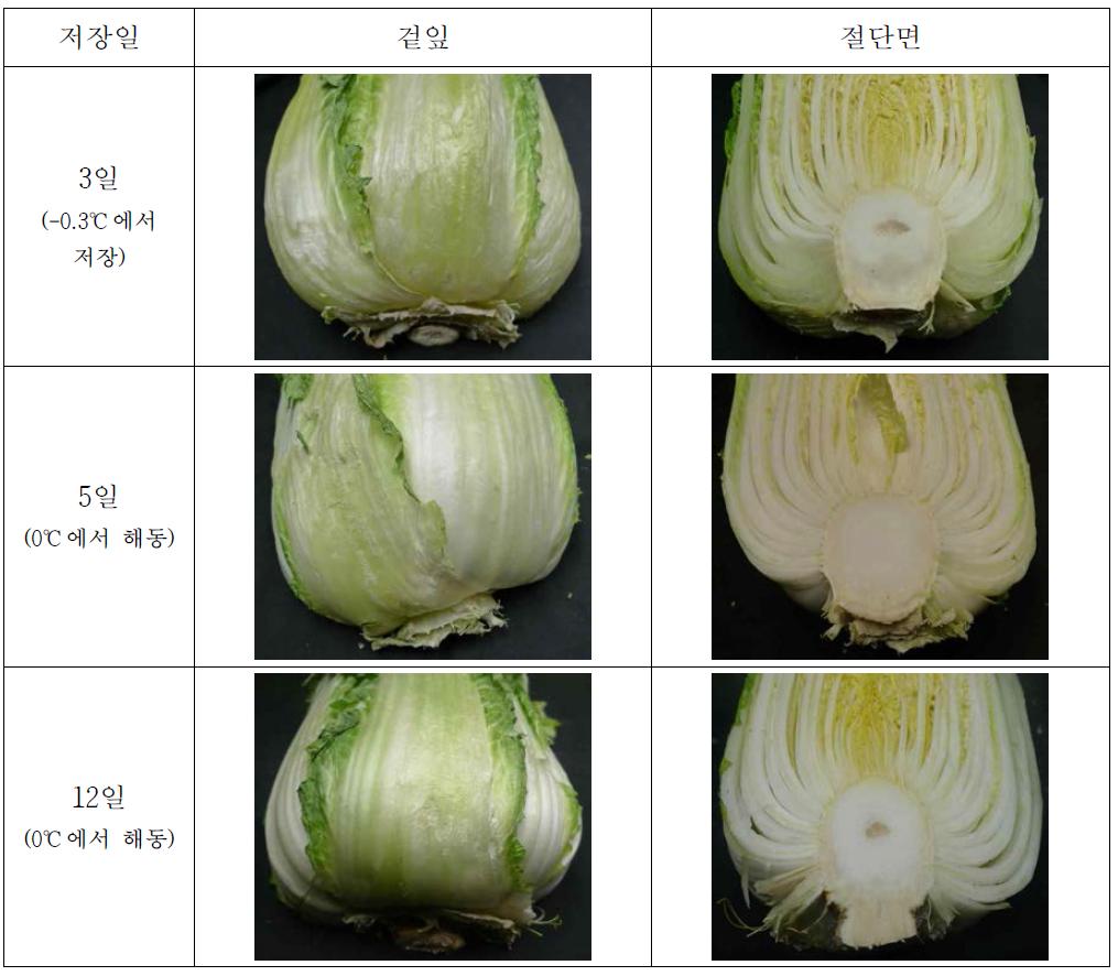 –0.3℃ 빙결점 근접 온도 및 저온 저장 시 배추의 저장기간에 따른 겉잎 및 절단면 성상 변화