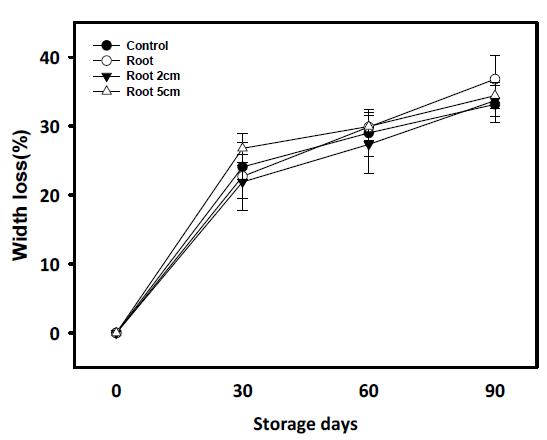 뿌리길이 조절에 의한 배추의 저장 중 폭 감소율 변화