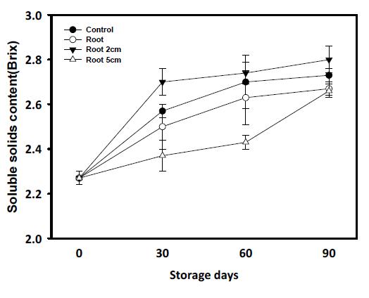 뿌리 길이 조절을 통한 배추의 저장 중 가용성 고형분 함량 변화