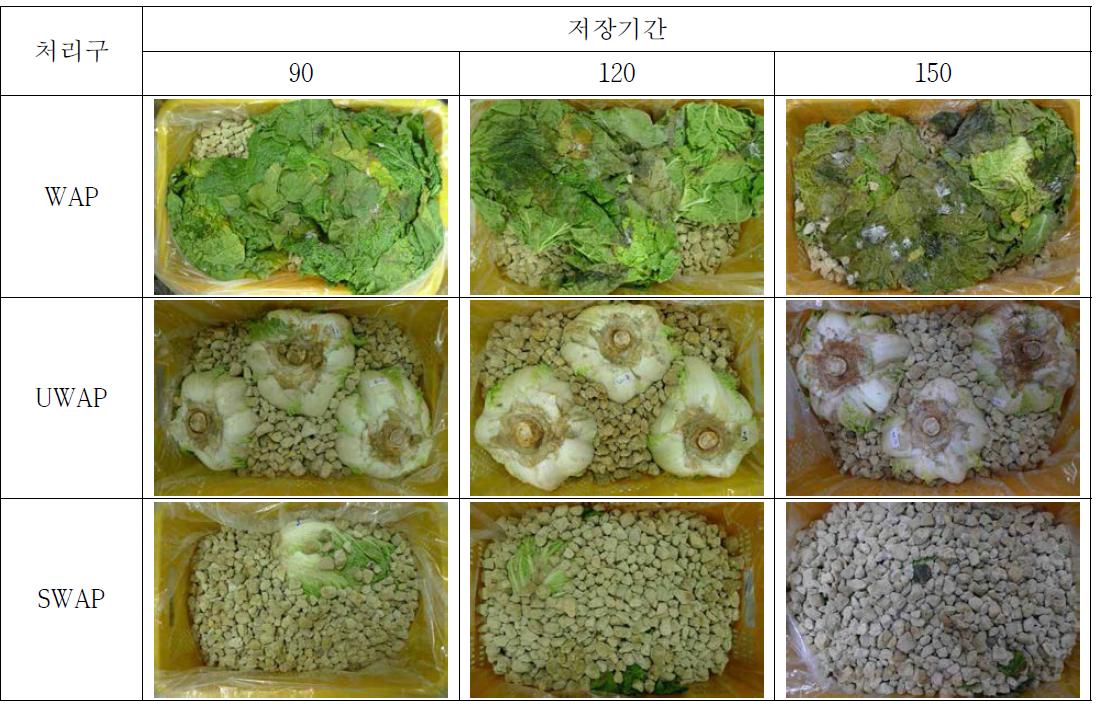 피복방법에 따른 배추의 저장 중 형태 변화(0℃)