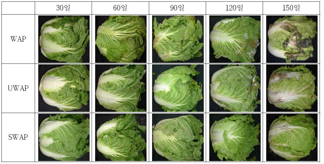 피복방법에 따른 배추의 저장 중 정선 전 성상 변화 (0℃)