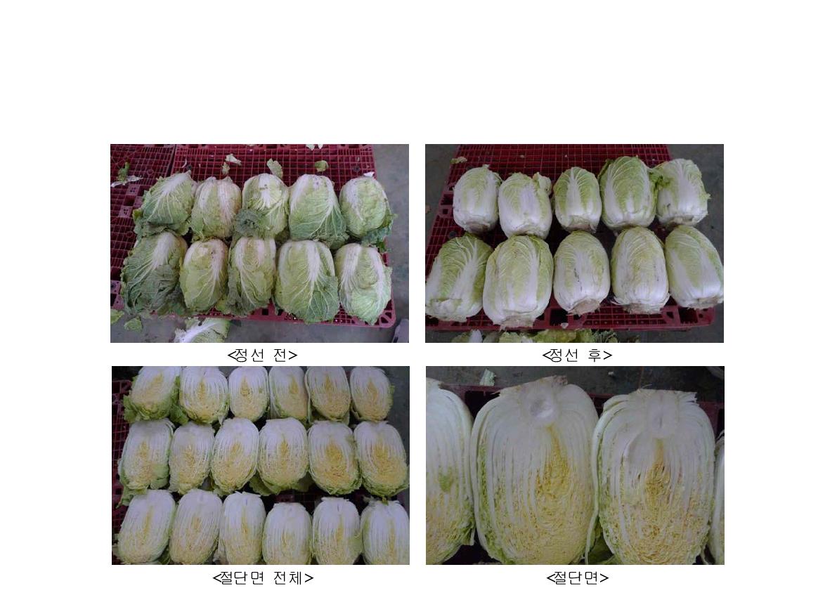 포장방법에 따른 저장 2개월 후 0.05µm LDPE 처리구 배추 성상