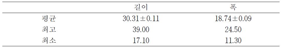 배추의 길이 및 높이