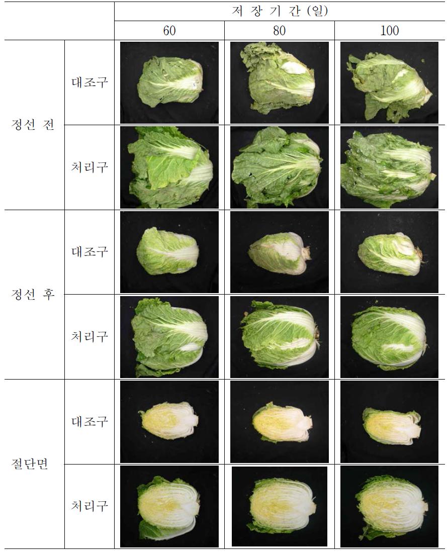 처리구별 봄배추의 저장 중 성상 변화 (0℃)