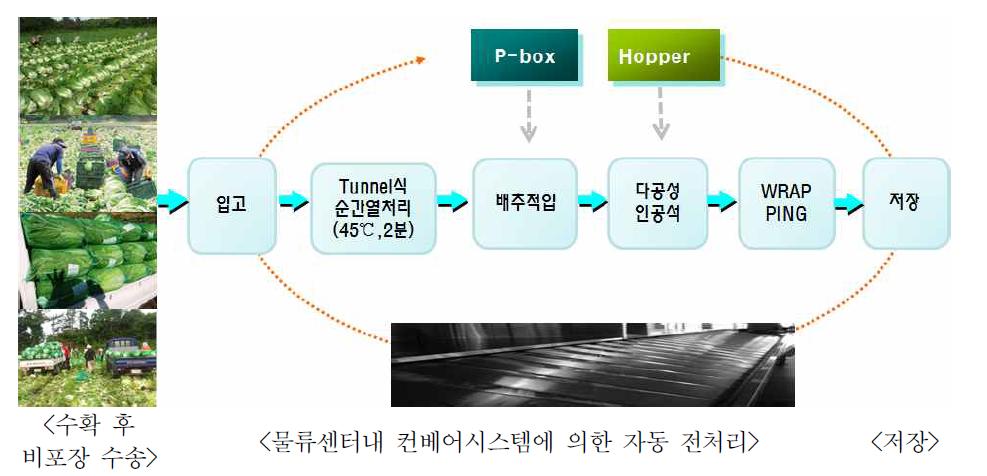 배추 저장성 증대를 위한 저장 전처리 공정 개선(안)