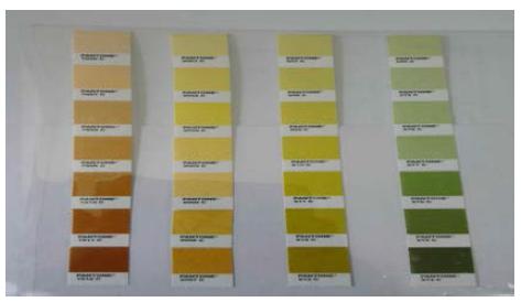 Color chart for the salted Kimchi cabbage