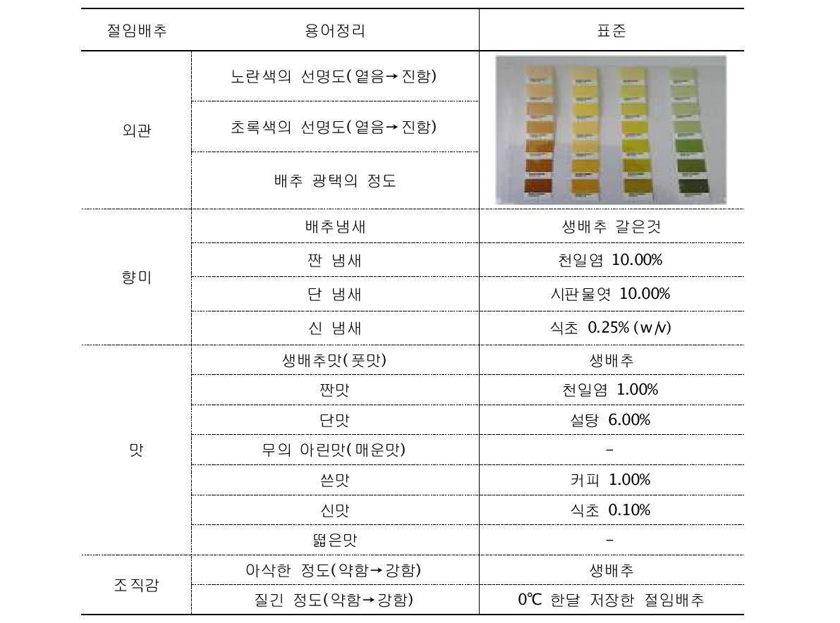 Term description and standard index of salted Kimchi cabbage