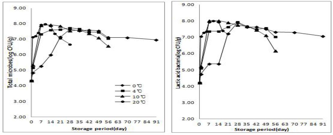 Effect of various storage temperature and periods in the total microbes and lactic acid bacteria of spring salted-Kimchi cabbage