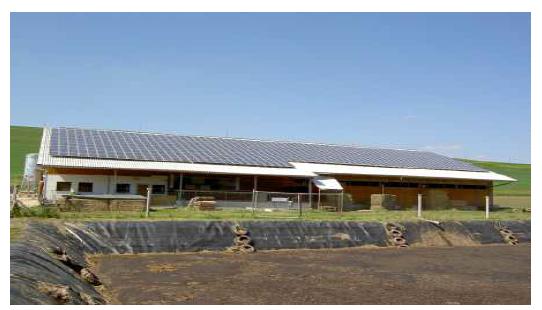 독일 징엔 졸라콤플렉스에서 설치한 축사 지붕 태양광 발전소