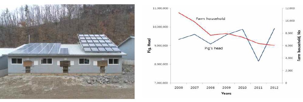 비표준형 돈사(1차년도)의 지붕에 설비된 태양열, 태양광 시스템 및 돼지사육 두수