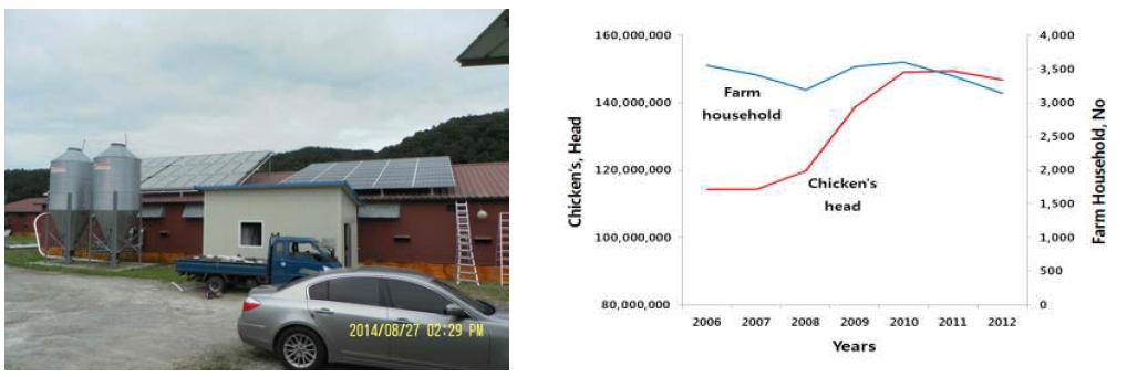 표준 육계사(2차년도)의 지붕에 설비된 태양열, 태양광 시스템 및 육계사육 두수