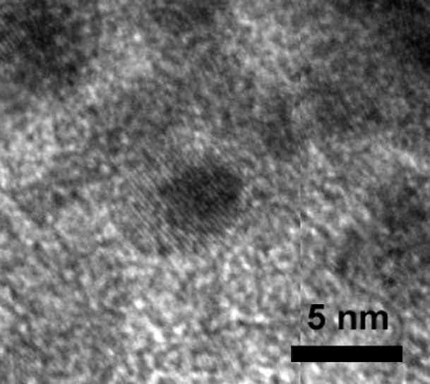 NSS nano complex 투과전자현미경 사진