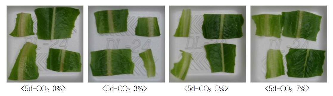 신선편이 가공공정 중 원물의 포장단계에 high CO2 처리에 따른 one-cut 포기상추(로메인 ‘Claudius’)의 저장 후(5℃, 5일) 품질변화 양상 비교