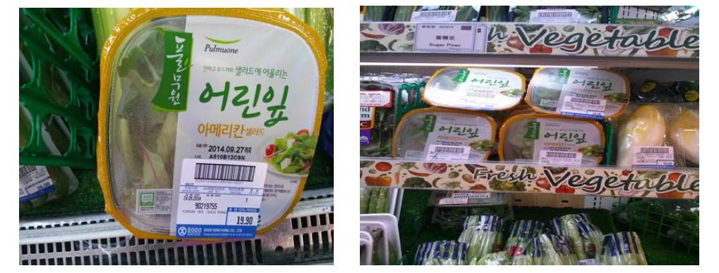 수출 신선편이 어린잎 채소의 현지 판매(소고백화점)