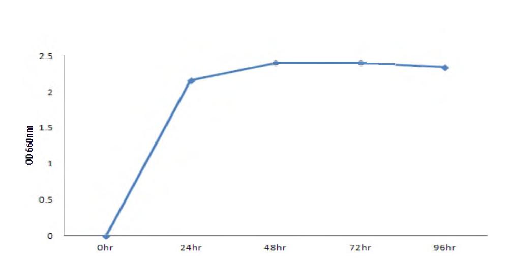 Effect of large scale culture(1,000 liter) to the growth of Lactobacillus plantarum BBG L30.