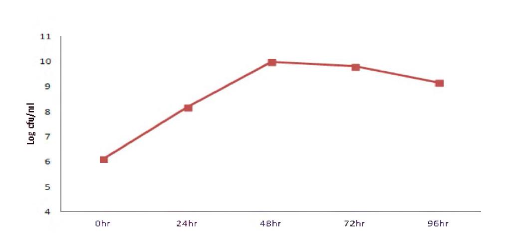 Effect of large scale culture(1,000 liter) to the viable cell of Lactobacillus plantarum BBG L30.