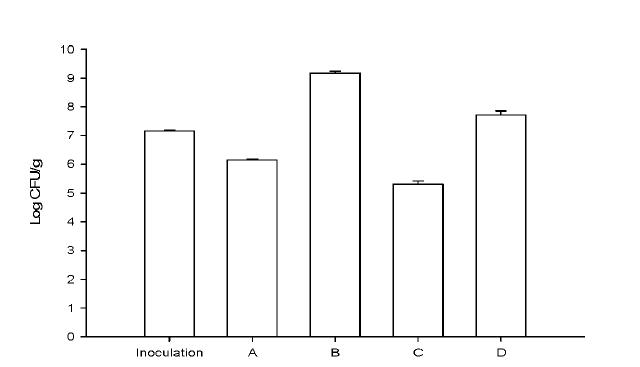 Effect of different fermentation methods on viable cell density by fermentation of Bacillus subtilis. A： Rotary drum fermentor, B: Tray fermentaion, C: Plastic bag, D: Rice bag.