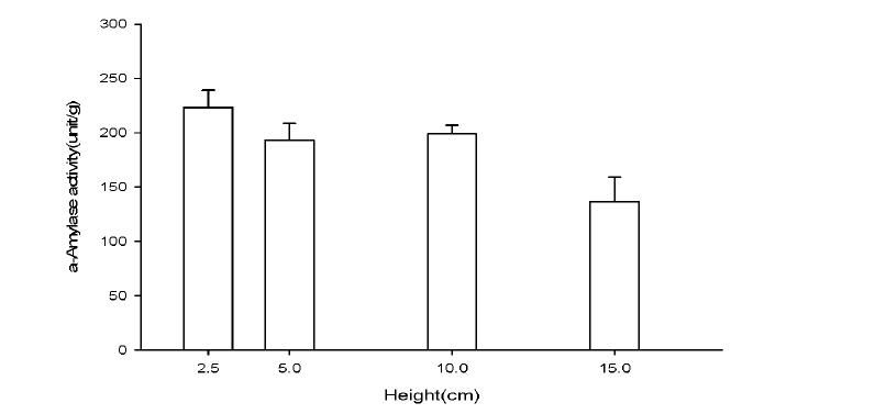 Effect of different height on enzyme production.