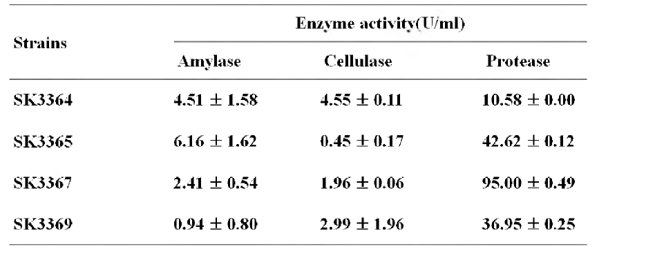 Extracellular enzymatic activities of isolated strains