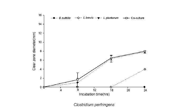 Antibacterial activity for Clostridium perfringens during the coculture fermentation.