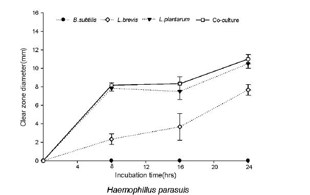 Antibacterial activity for Haemopillus parsuis during the coculture fermentation.