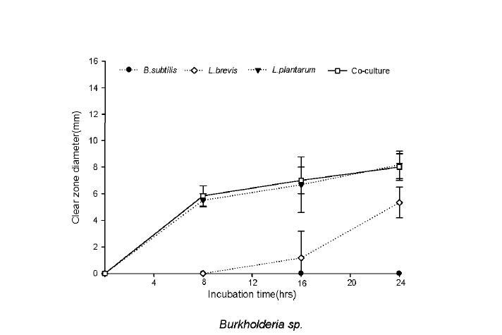 Antibacterial activity for Burkholderia sp. during the coculture fermentation.