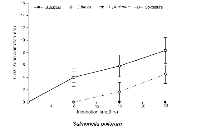 Antibacterial activity for Salmonella pullorum during the coculture fermentation.