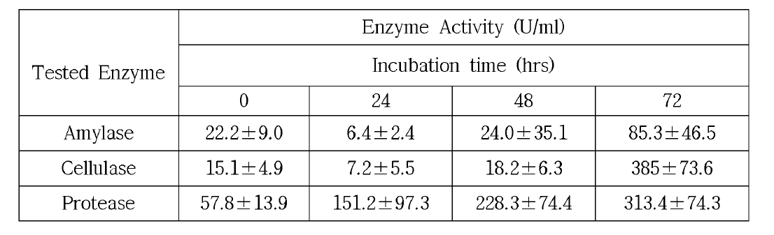 Enzymatic activity during solid state fermentation