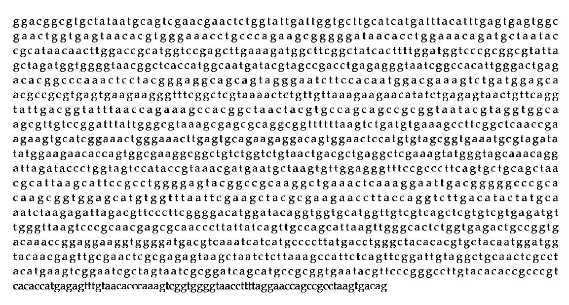 16S rDNA sequence of Lactobacillus plcm tarum BBG L30.