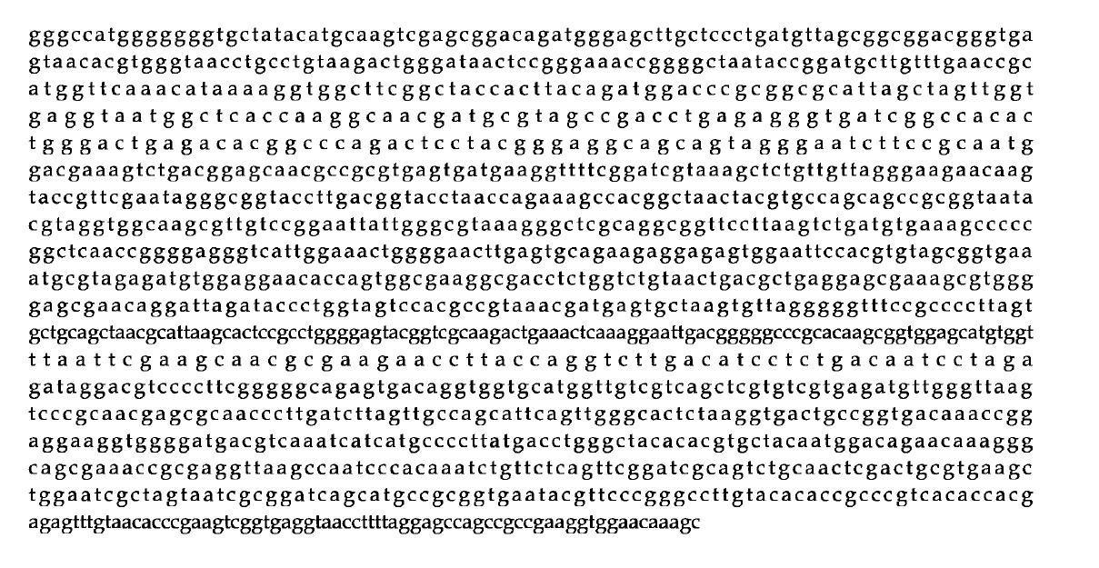 16S rDNA sequence of Bacillus tequilensis BBG Bl.