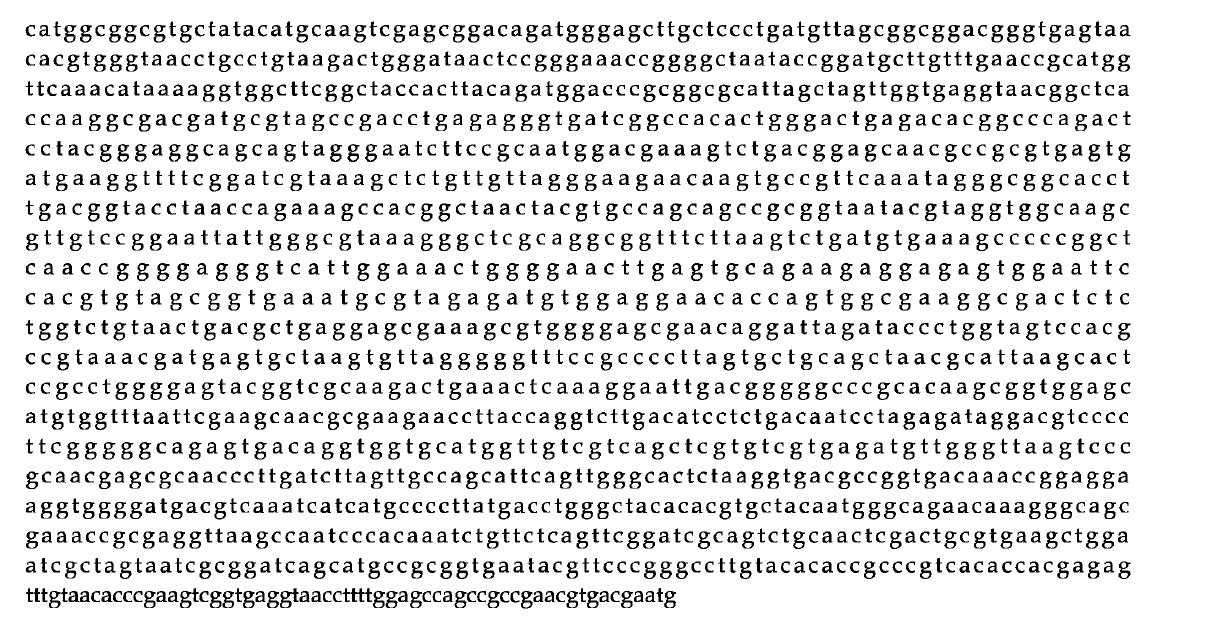 16S rDNA sequence of Bacillus am yloliqu^aciens BBG B5.