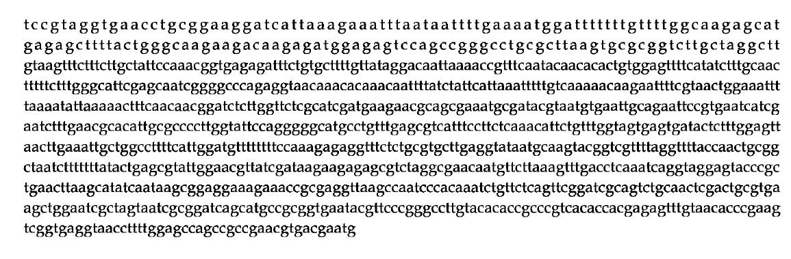 Phylogenetic tree for bacteria strain of Saccharomyces cerevtstae BBG Y6.