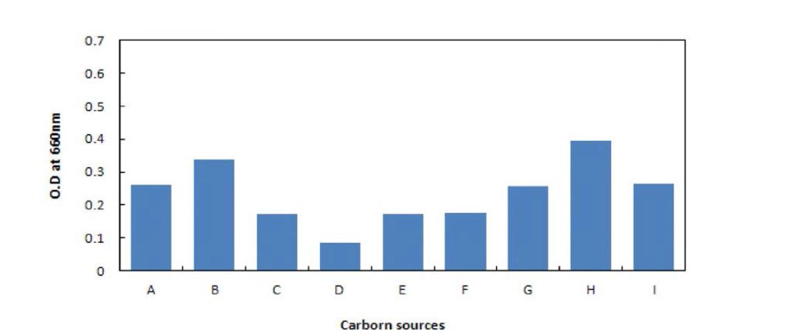 Effect of carbon sources to the growth of Bacillus antyloliquefaciens BBG B5. A: Gulcose, B: Arabinose, C: Mannose, D: Lactose, E: Galactose, F: Fructose, G: Sucrose, H: Soluble starch, I: Trehalose.
