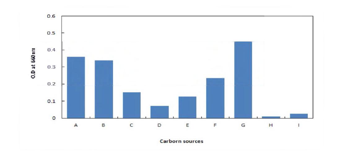 Effect of carbon sources to the growth of Saccharomyces cereoii A: Gulcose, B: Arabinose, C: Mannose, D: Lactose, E: Gal Sucrose, H: Soluble starch, I: Trehalose.