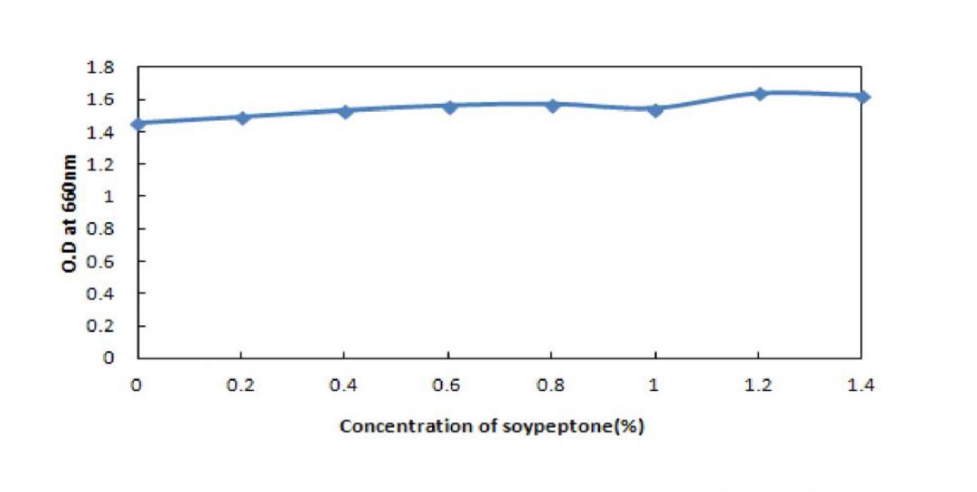 Efrect of concentration of veast extract to the growth or LoctoDaciilus pumtarum BBG L30.
