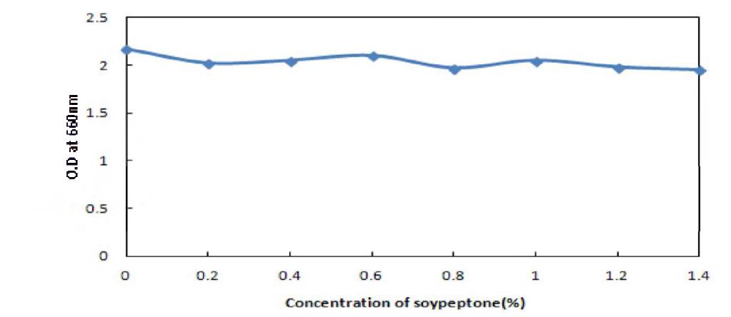 Effect of concentration of soypeptone to the growth of Saccharomuces cerevisiase BBG Y6.