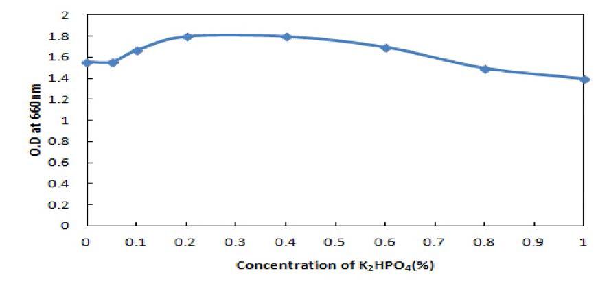 Effect of concentrat ion of K2HPO4 of the growth of Saccharomyces cerevtstase BBG Y6 .