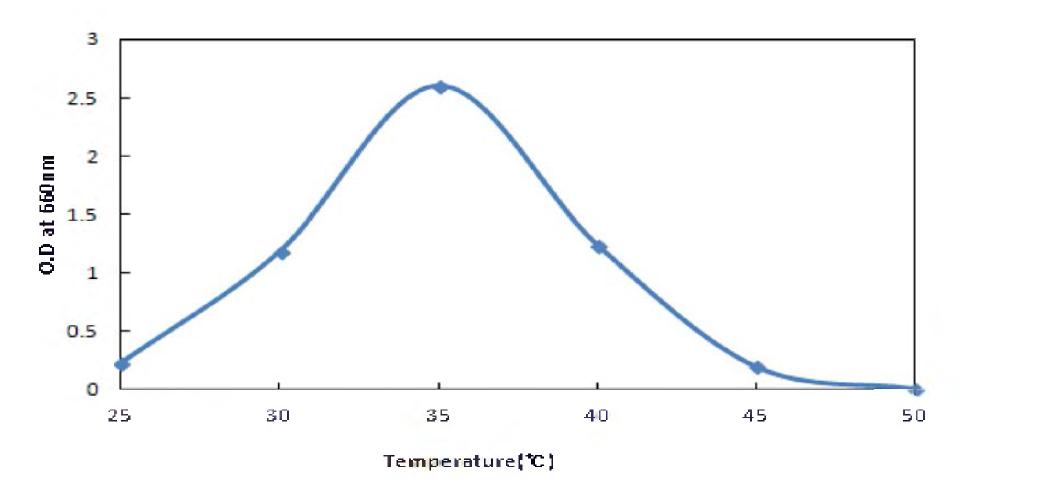Effect of temperature to the growth of Lactobacillus phm tarum BBG L30.